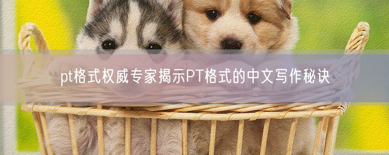 pt格式权威专家揭示PT格式的中文写作秘诀