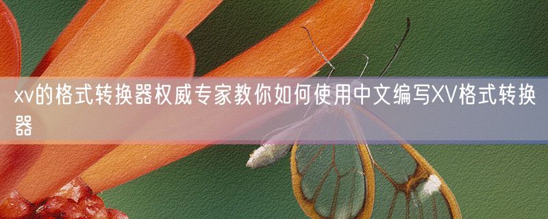 xv的格式转换器权威专家教你如何使用中文编写XV格式转换器