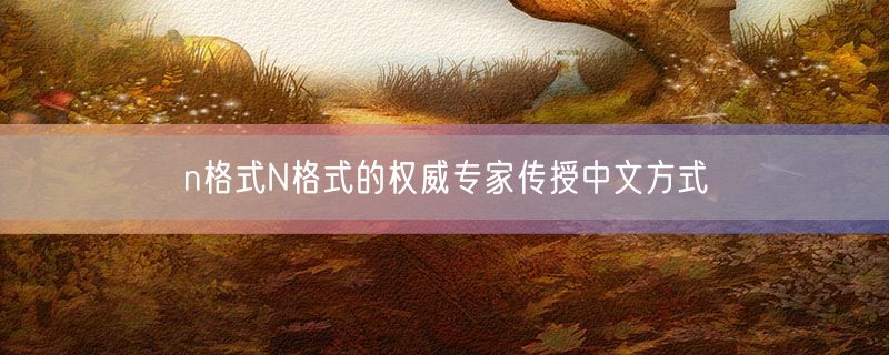 n格式N格式的权威专家传授中文方式