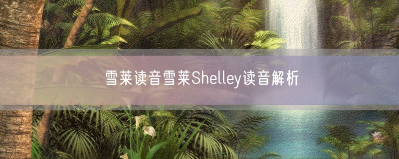 <strong>雪莱读音雪莱Shelley读音解析</strong>