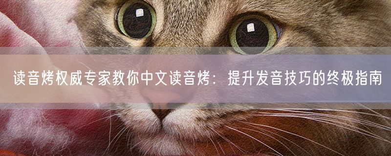 读音烤权威专家教你中文读音烤：提升发音技巧的终极指南